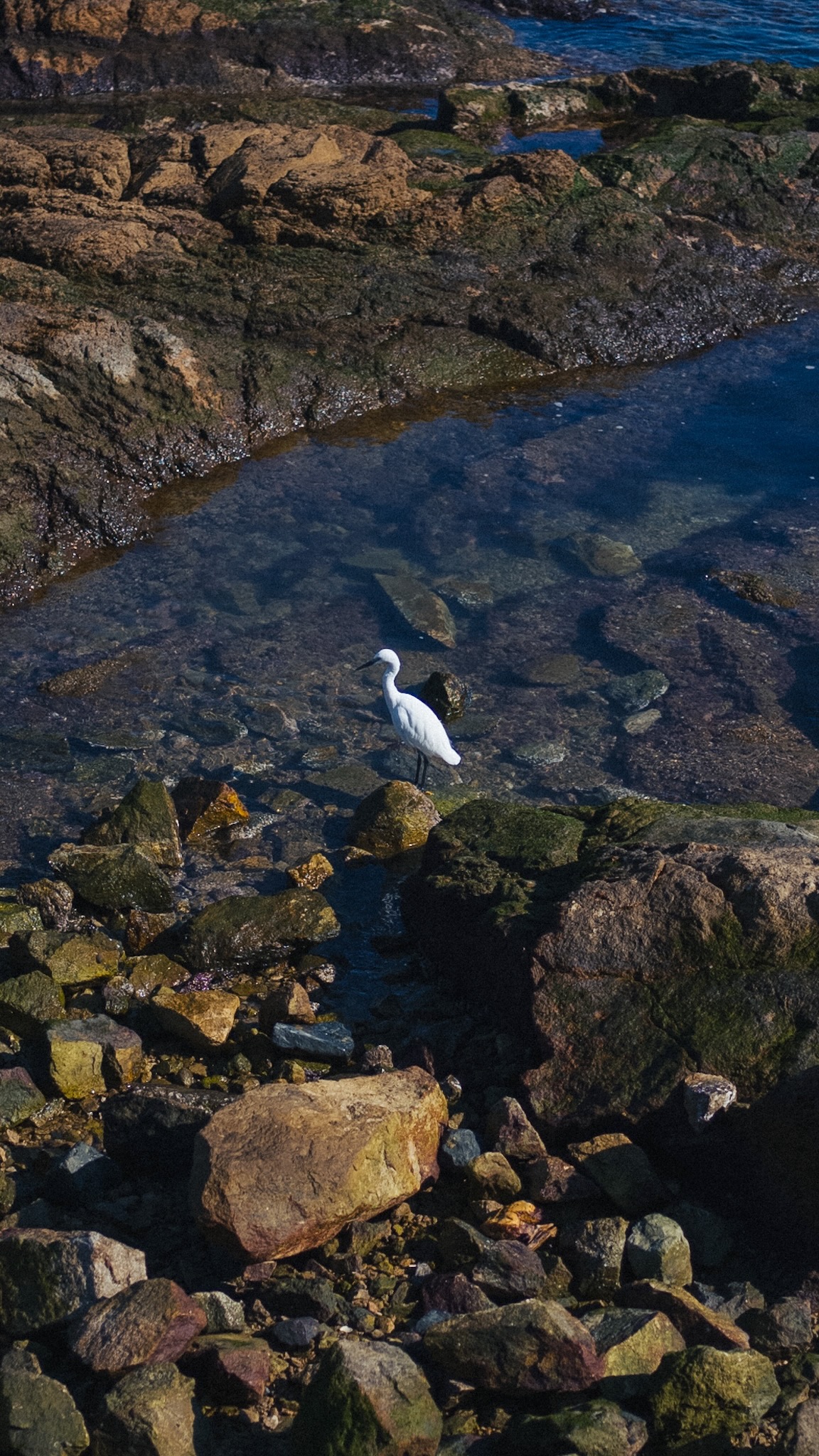 Photo 44
