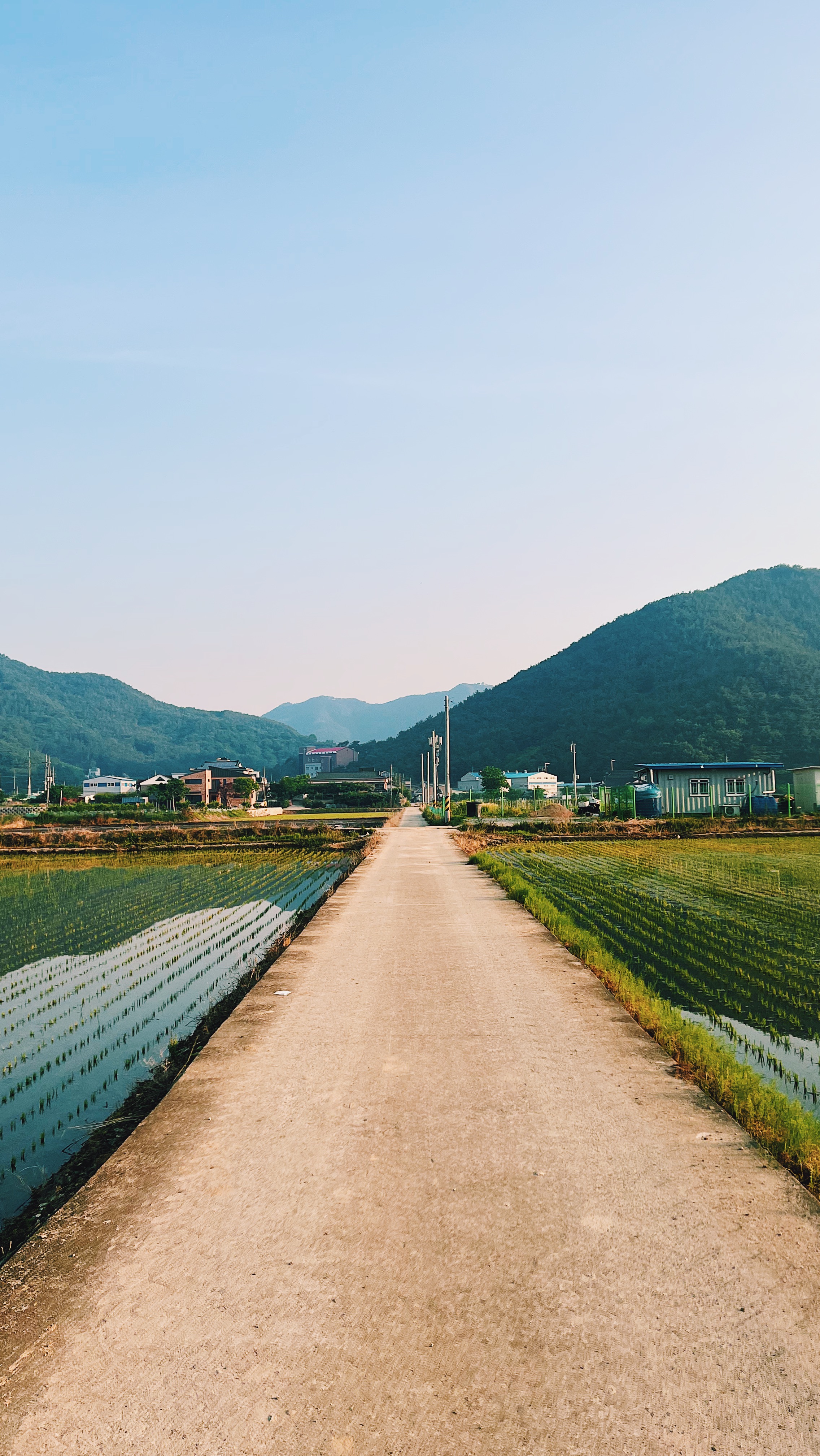 In Korea